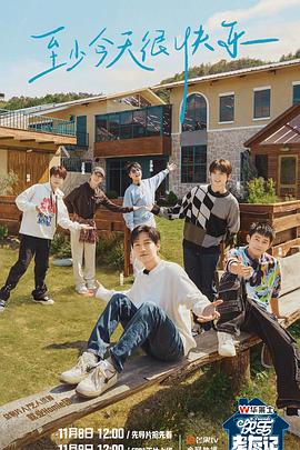 有自动seo的软件吗